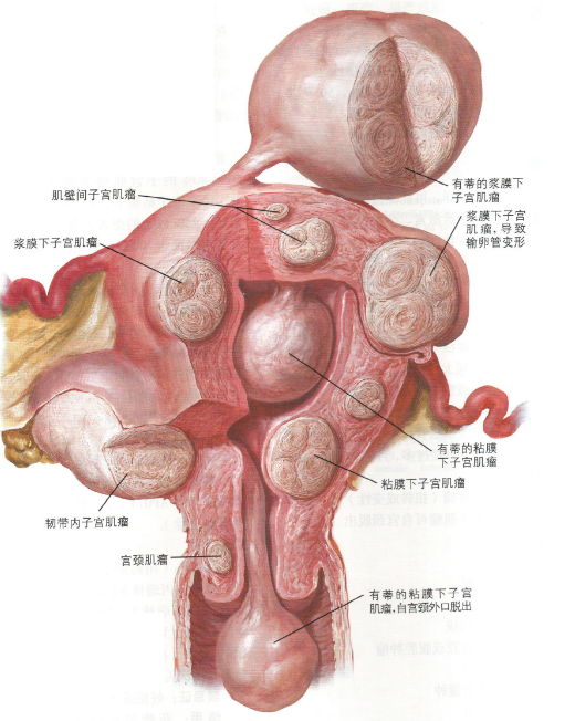 娱乐生活 第61页