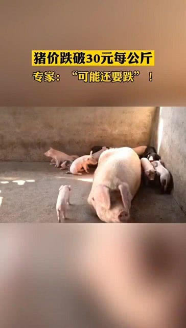 港澳新闻 第34页